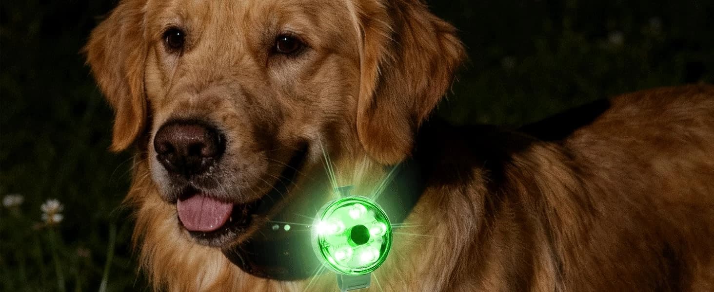 2-Pack Dog Collar Light with Memory Function — collection imagery