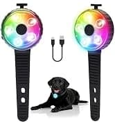 2-Pack Dog Collar Light with Memory Function — collection imagery