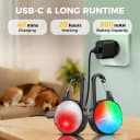 2 Pack Double Sided Dog Collar Light — 6 Modes Dog Lights for Night Walking
