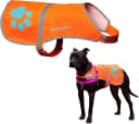 Blaze Orange Dog Vest. Reflective High Visibility in Hunting and Wooded Areas