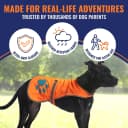 Blaze Orange Dog Vest. Reflective High Visibility in Hunting and Wooded Areas