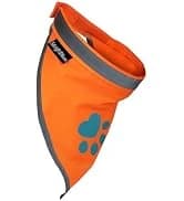 Blaze Orange Dog Vest. Reflective High Visibility in Hunting and Wooded Areas — collection imagery
