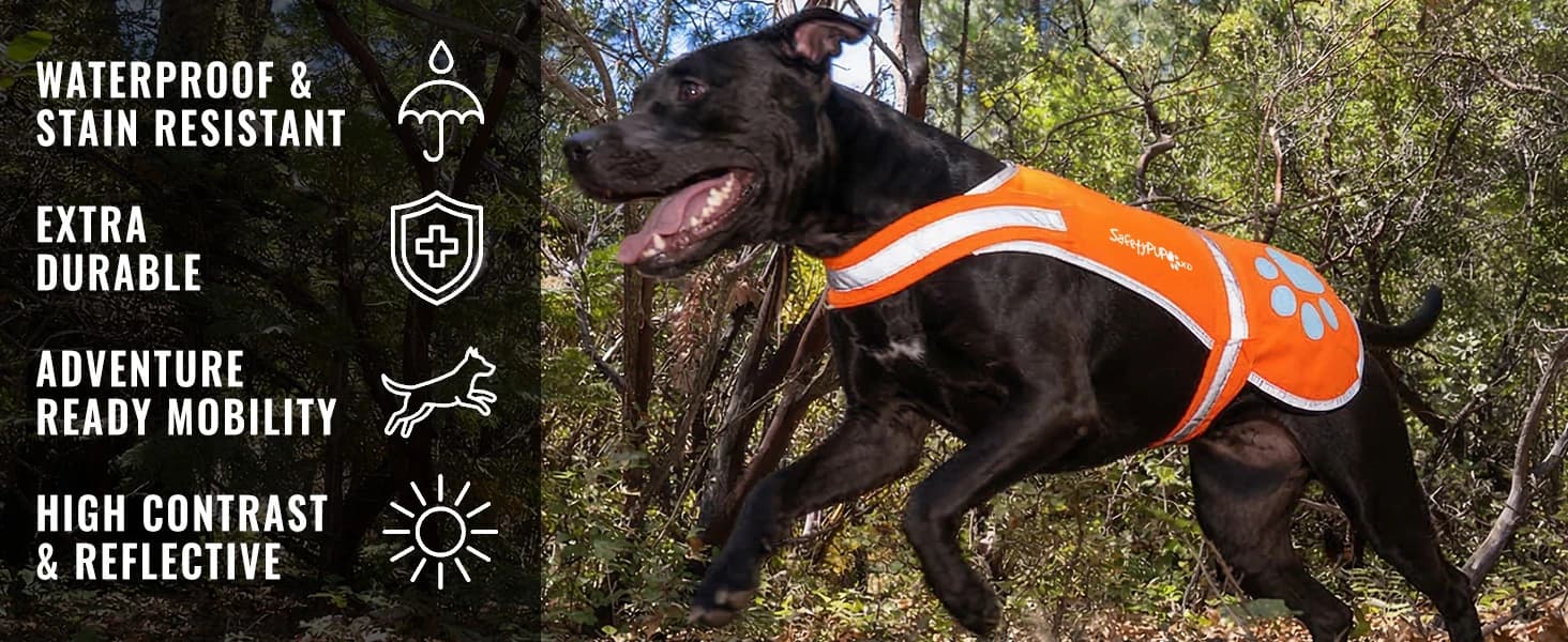 Blaze Orange Dog Vest. Reflective High Visibility in Hunting and Wooded Areas — Real Adventure: is Top-Rated for High-Visibility Protection