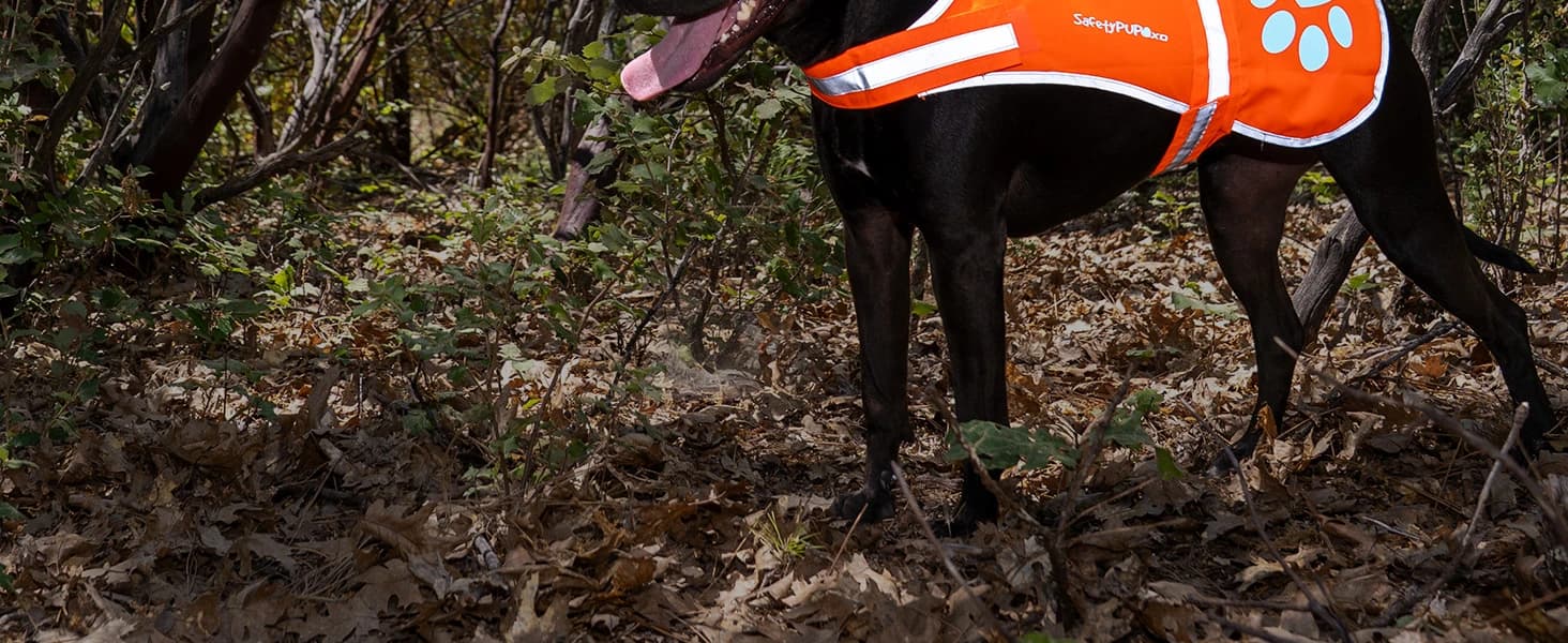 Blaze Orange Dog Vest. Reflective High Visibility in Hunting and Wooded Areas — product details