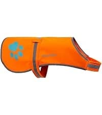 Blaze Orange Dog Vest. Reflective High Visibility in Hunting and Wooded Areas — collection imagery