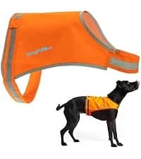 Blaze Orange Dog Vest. Reflective High Visibility in Hunting and Wooded Areas — collection imagery