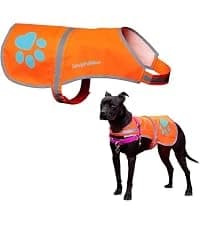 Blaze Orange Dog Vest. Reflective High Visibility in Hunting and Wooded Areas — collection imagery