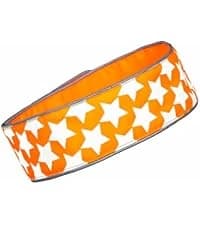 Blaze Orange Dog Vest. Reflective High Visibility in Hunting and Wooded Areas — collection imagery