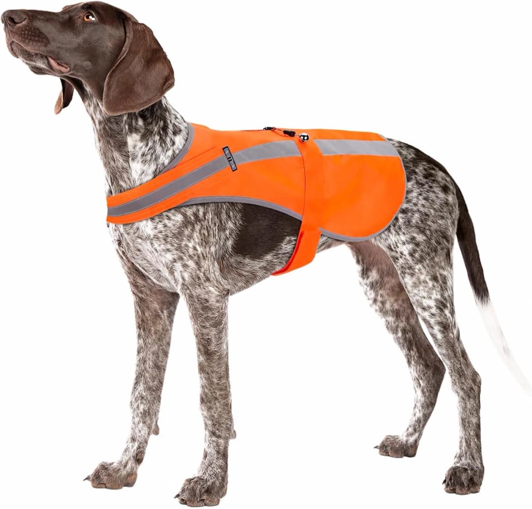Reflective Dog Vest for Medium and Large Breeds