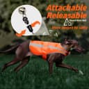 Reflective Dog Vest for Medium and Large Breeds