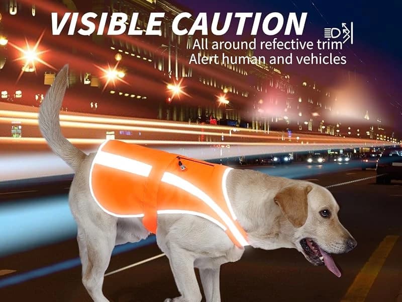 Reflective Dog Vest for Medium and Large Breeds — Fluorescent orange dog reflective vest for high vis