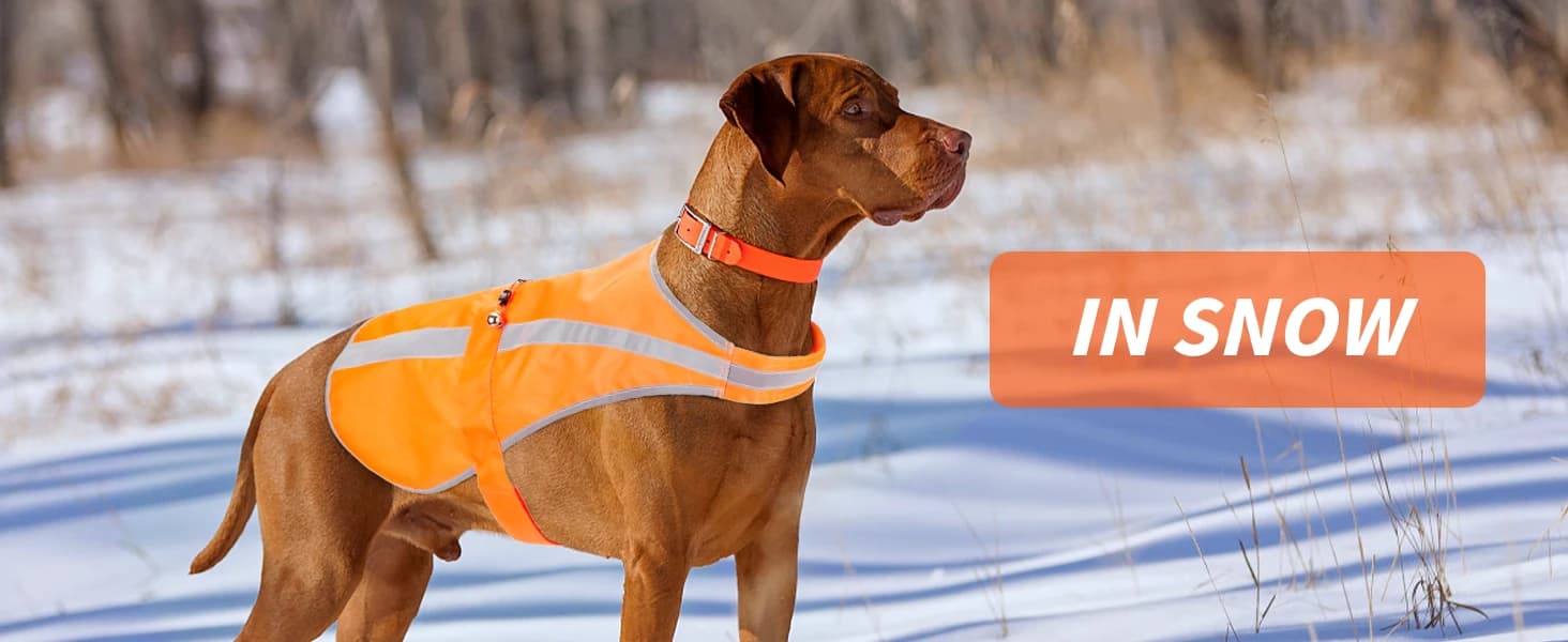 Reflective Dog Vest for Medium and Large Breeds — collection imagery
