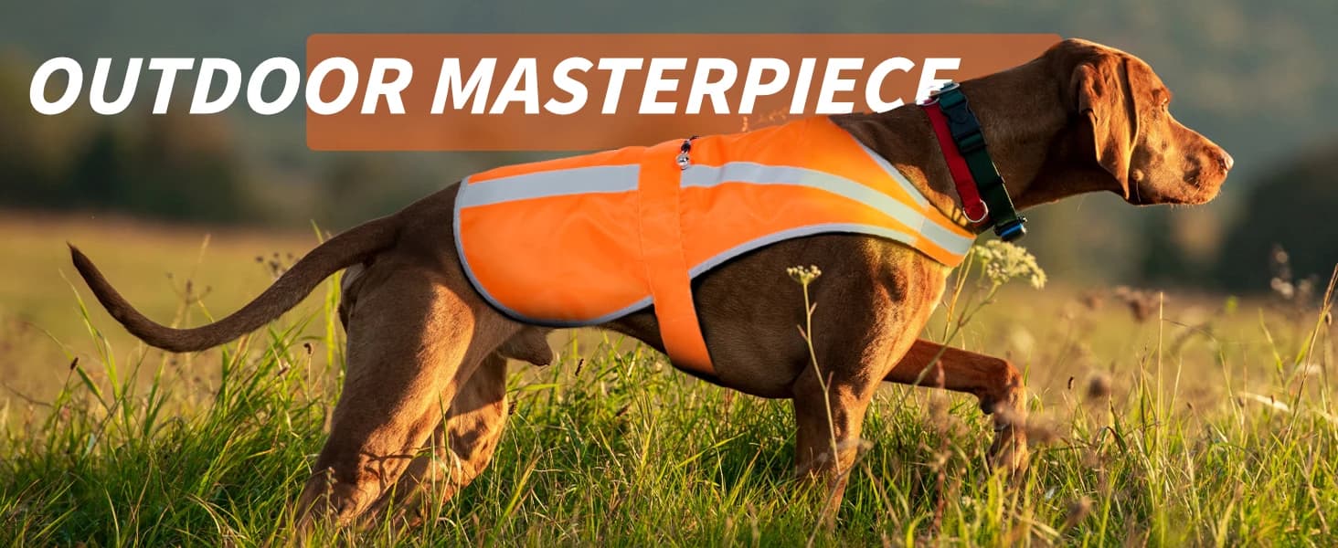 Reflective Dog Vest for Medium and Large Breeds — collection imagery