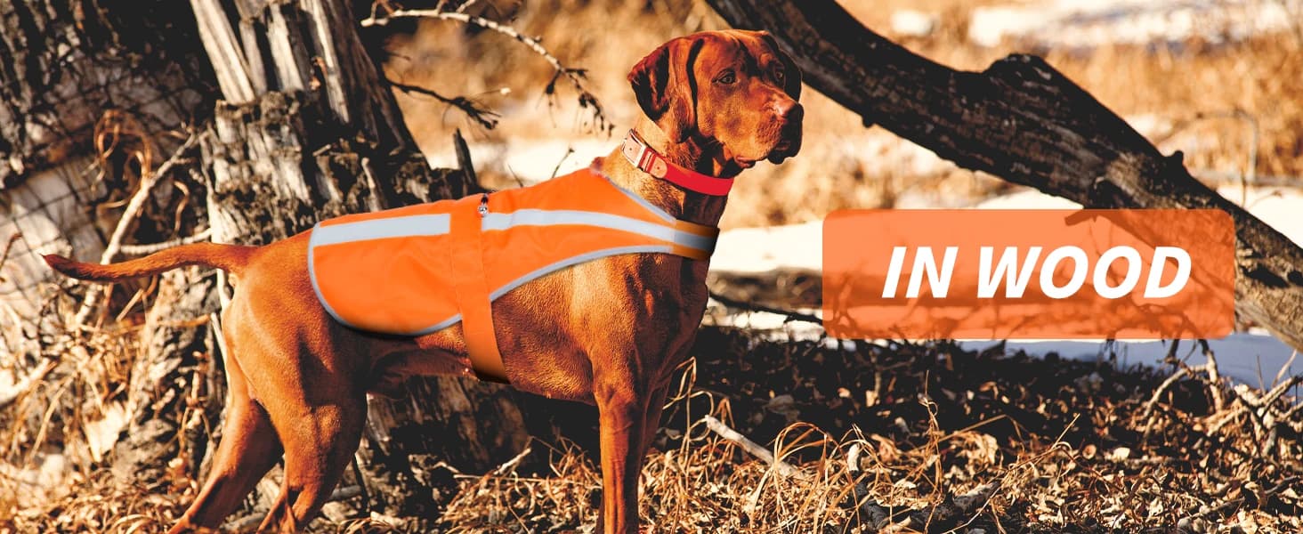 Reflective Dog Vest for Medium and Large Breeds — collection imagery