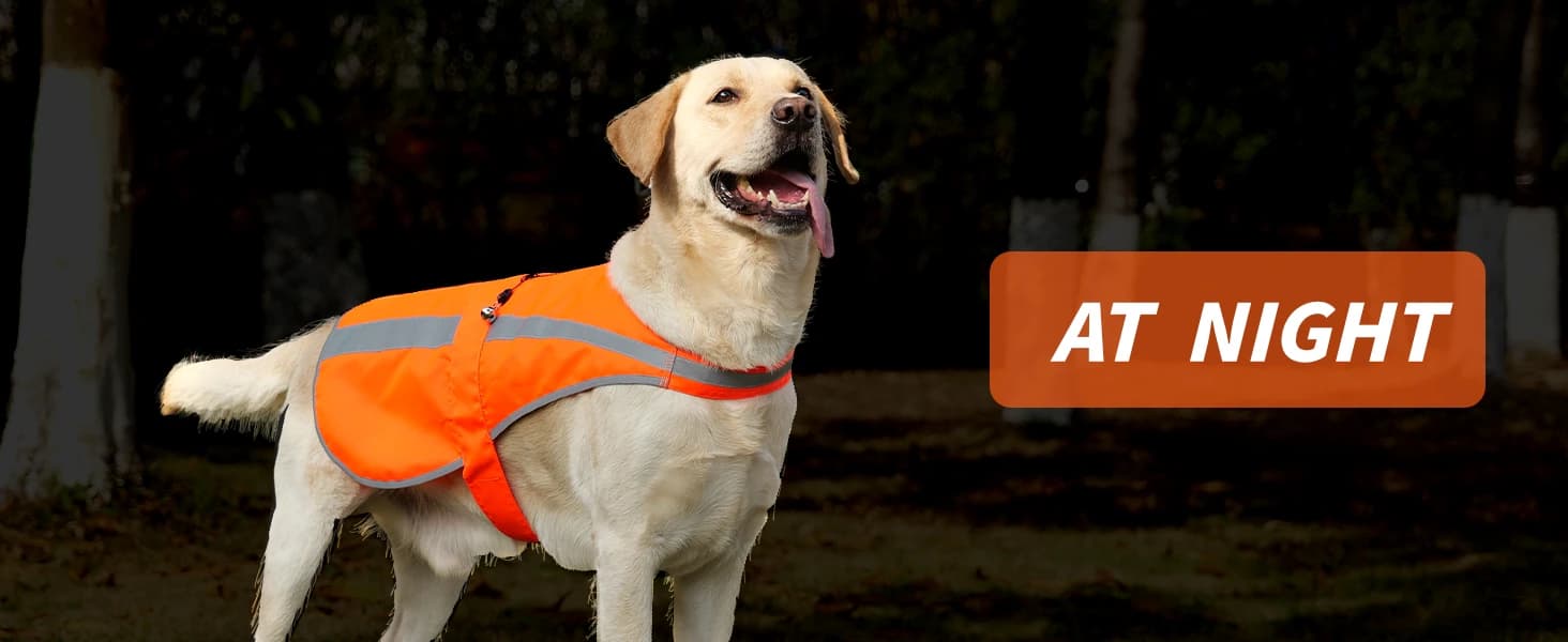 Reflective Dog Vest for Medium and Large Breeds — collection imagery