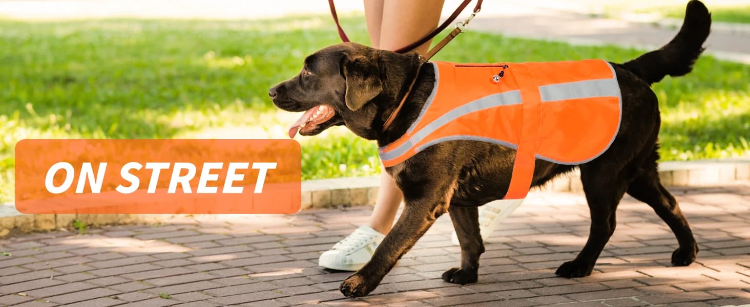 Reflective Dog Vest for Medium and Large Breeds — collection imagery