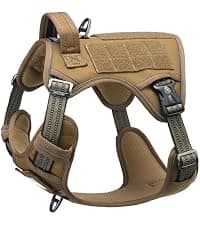 Reflective Dog Vest for Medium and Large Breeds — collection imagery