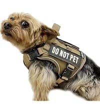Reflective Dog Vest for Medium and Large Breeds — collection imagery