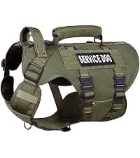 Reflective Dog Vest for Medium and Large Breeds — collection imagery