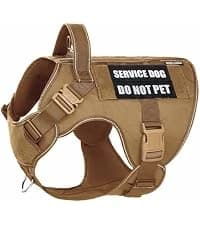 Reflective Dog Vest for Medium and Large Breeds — collection imagery
