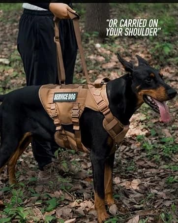 Reflective Dog Vest for Medium and Large Breeds — collection imagery