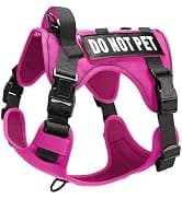 Reflective Dog Vest for Medium and Large Breeds — collection imagery