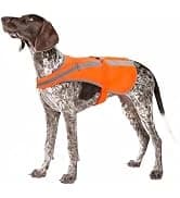 Reflective Dog Vest for Medium and Large Breeds — collection imagery