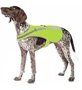 Reflective Dog Vest for Medium and Large Breeds — collection imagery