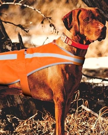 Reflective Dog Vest for Medium and Large Breeds — collection imagery
