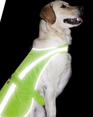 Reflective Dog Vest for Medium and Large Breeds — collection imagery