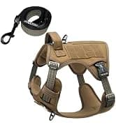 Reflective Dog Vest for Medium and Large Breeds — collection imagery