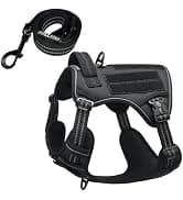 Reflective Dog Vest for Medium and Large Breeds — collection imagery
