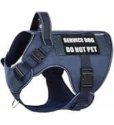 Reflective Dog Vest for Medium and Large Breeds — collection imagery