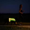 Reflective Dog Vest. High Visibility Yellow Safety Vest for Outdoors. Safeguard Your Dog with Easy-to-wear