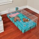 Guinea Habitat Plus Cage — Includes Divider Panel and Hinged Top