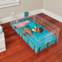 Guinea Habitat Plus Cage — Includes Divider Panel and Hinged Top