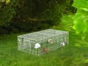 Guinea Habitat Plus Cage — Includes Divider Panel and Hinged Top