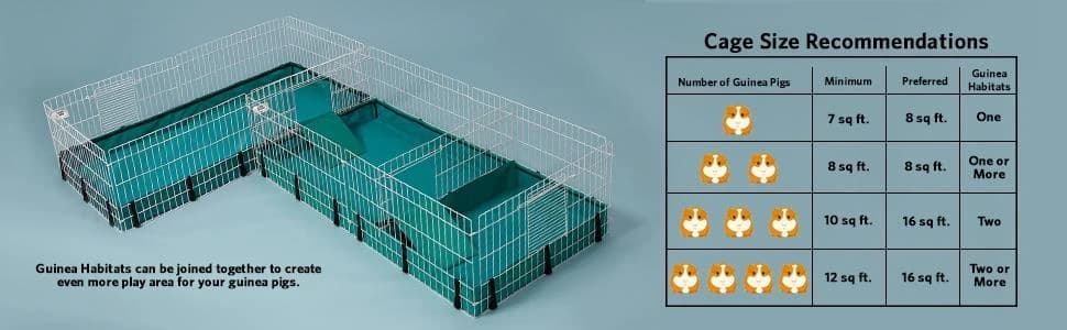 Guinea Habitat Plus Cage — Includes Divider Panel and Hinged Top — collection imagery