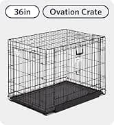 Deluxe Rabbit and Guinea Pig Cage — collection imagery