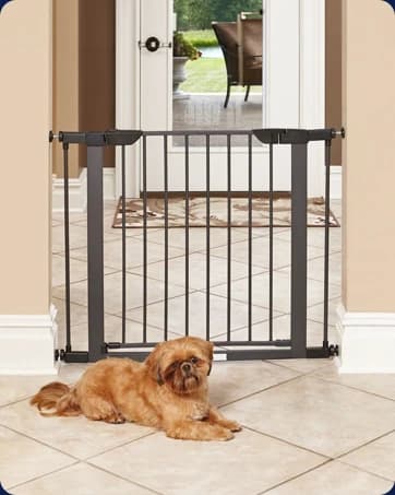 Deluxe Rabbit and Guinea Pig Cage — collection imagery