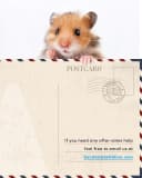 Hamster Cage 3.0 — Large Hamster Enclosure (47in