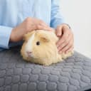 Guinea Pig Cage Liner — 49"x24" Bedding for Midwest Cage 3 Pack