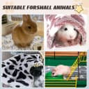 6 Pcs Absorbent Guinea Pig Blankets Washable Small Animal Fleece Bedding Cage Liners Reusable Pet Pee Pad Sleep