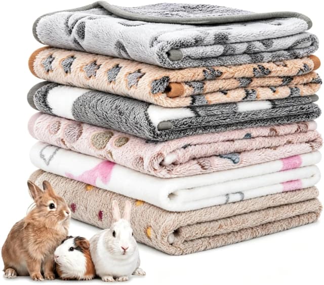 6 Pack Guinea Pigs Fleece Blankets