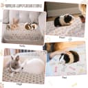 6 Pack Guinea Pigs Fleece Blankets