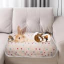6 Pack Guinea Pigs Fleece Blankets