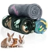 6 Pack Guinea Pigs Fleece Blankets — collection imagery