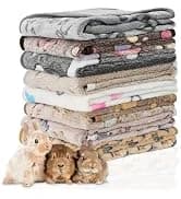 6 Pack Guinea Pigs Fleece Blankets — collection imagery