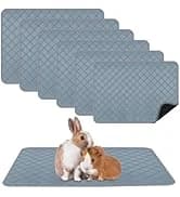 6 Pack Guinea Pigs Fleece Blankets — collection imagery