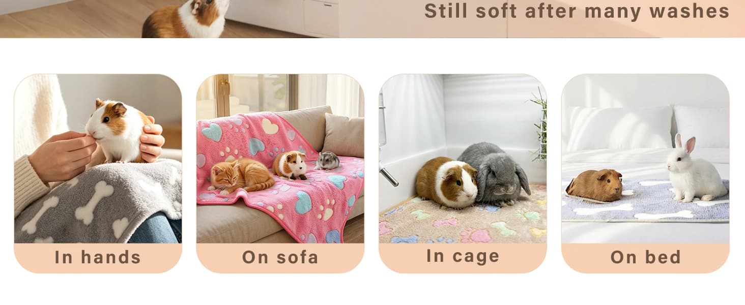 6 Pack Guinea Pigs Fleece Blankets — product details